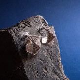 گوشواره شنی
